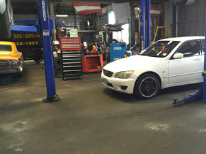 All Fleet Services Lower Hutt